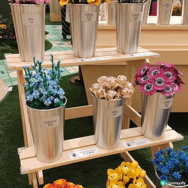 於金鐘Pacific Place太古廣場，展出全港首個Leg...