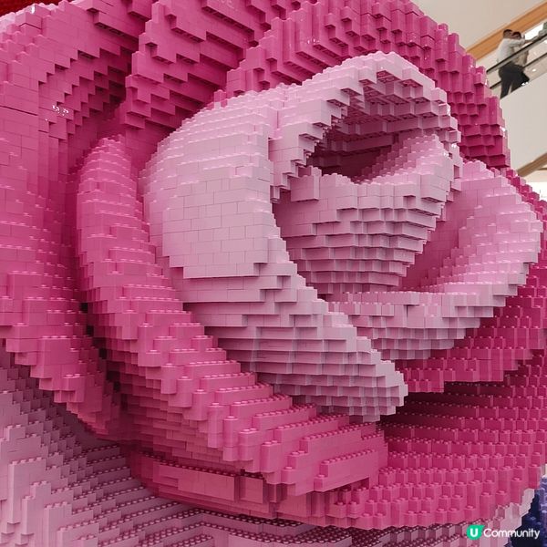 於金鐘Pacific Place太古廣場，展出全港首個Leg...