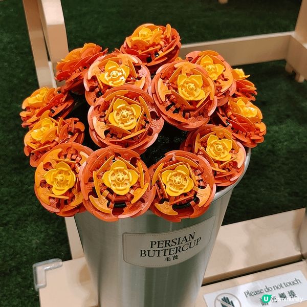 於金鐘Pacific Place太古廣場，展出全港首個Leg...