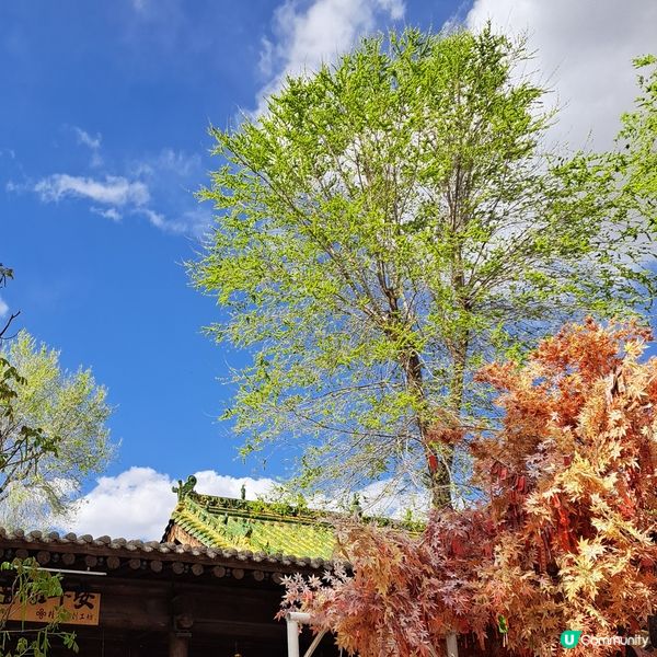 青海平安驛，穿越千年時光⏳