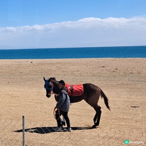 青海湖二郎劍景區打卡📸青甘大環線2️⃣ 