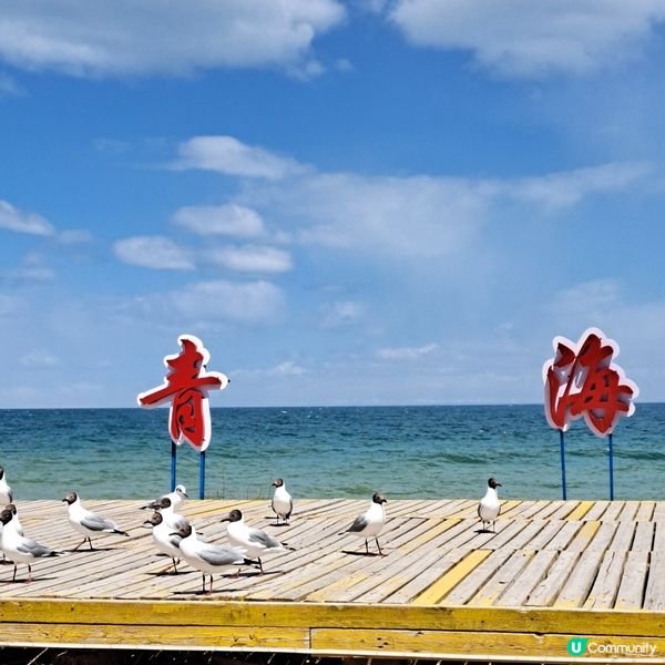 青海湖二郎劍景區打卡📸青甘大環線2️⃣ 