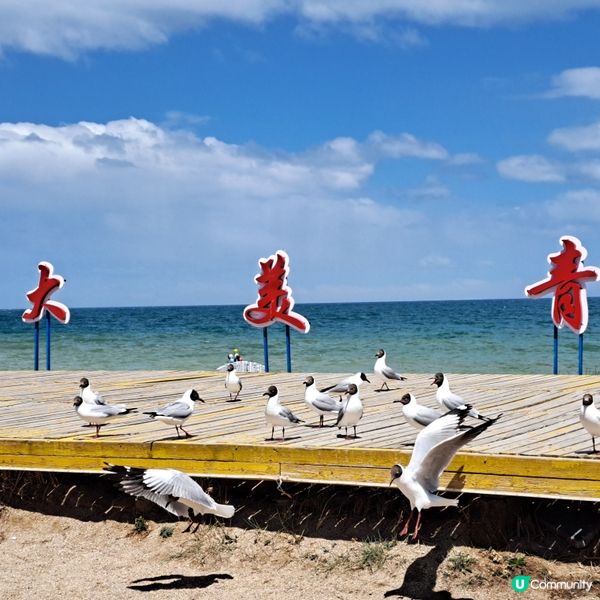 青海湖二郎劍景區打卡📸青甘大環線2️⃣ 
