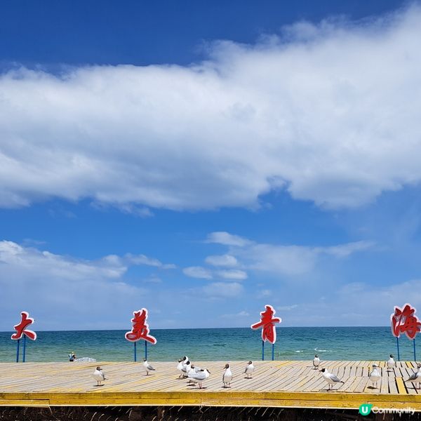 青海湖二郎劍景區打卡📸青甘大環線2️⃣ 