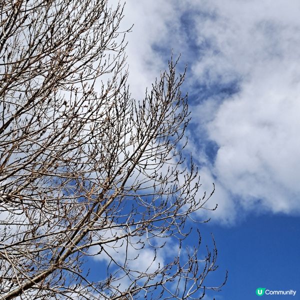 青海湖二郎劍景區打卡📸青甘大環線2️⃣ 