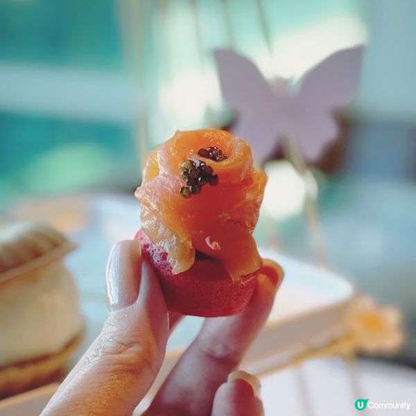 漫舞嫣韻@The Mistral