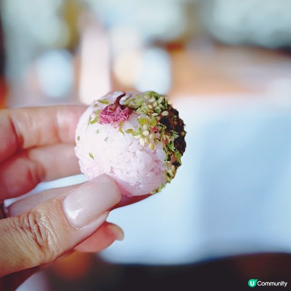 漫舞嫣韻@The Mistral