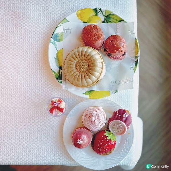 漫舞嫣韻@The Mistral