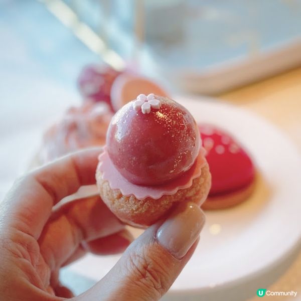 漫舞嫣韻@The Mistral