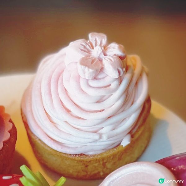 漫舞嫣韻@The Mistral