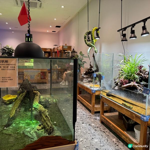 深圳寵物天堂！窩窩萌寵森友會🐶🐱🐰