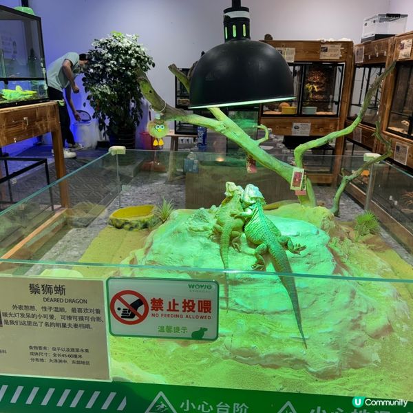 深圳寵物天堂！窩窩萌寵森友會🐶🐱🐰