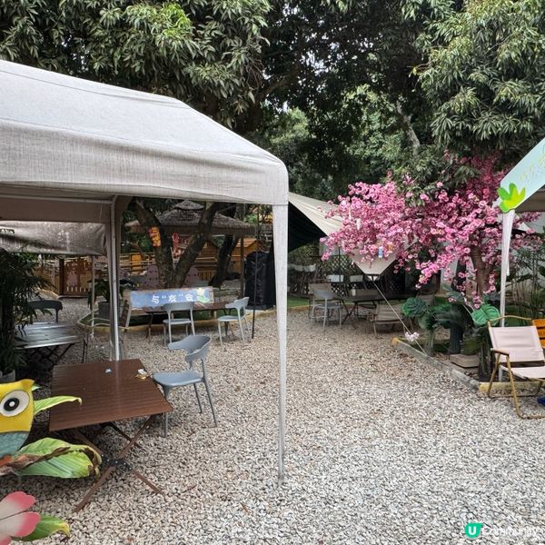 深圳寵物天堂！窩窩萌寵森友會🐶🐱🐰