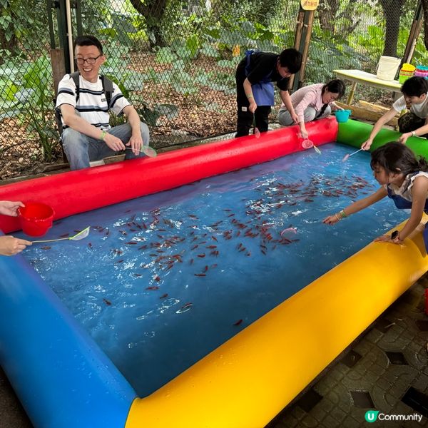 深圳寵物天堂！窩窩萌寵森友會🐶🐱🐰