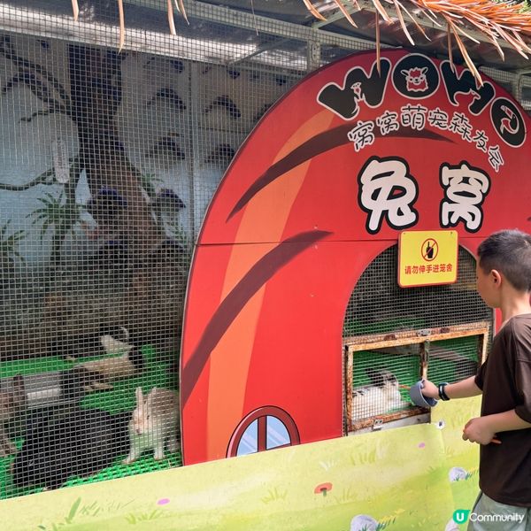 深圳寵物天堂！窩窩萌寵森友會🐶🐱🐰