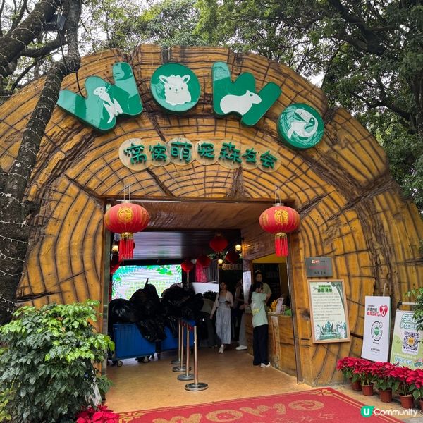 深圳寵物天堂！窩窩萌寵森友會🐶🐱🐰