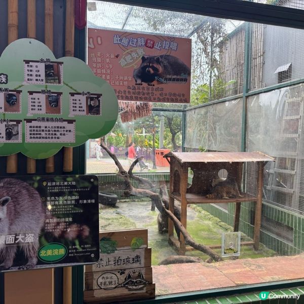 深圳寵物天堂！窩窩萌寵森友會🐶🐱🐰