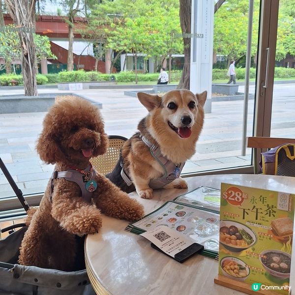 打卡後醫肚😋 永年下午茶$18起！