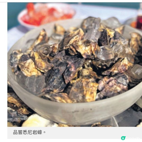 李日朗澳洲帶隊訪生蠔農場 品嘗悉尼岩蠔享獨家優惠