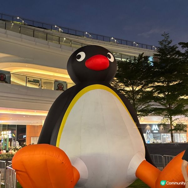 Pingu POP UP STORE