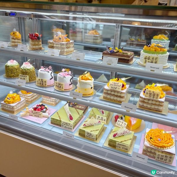 脆糖燉蛋蝴蝶酥🍮