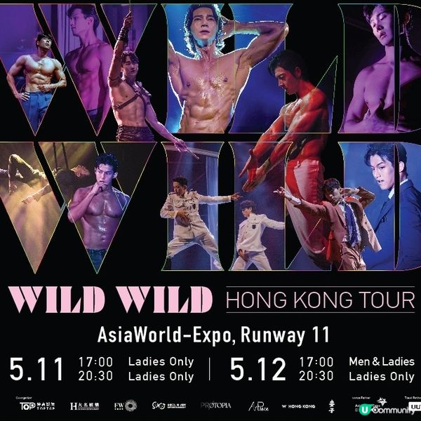 投資嶄新表演可望殺出血路