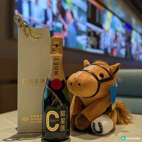 沙田馬場駿星匯升級回歸 足不出戶盡覽沙圈終點及跑道