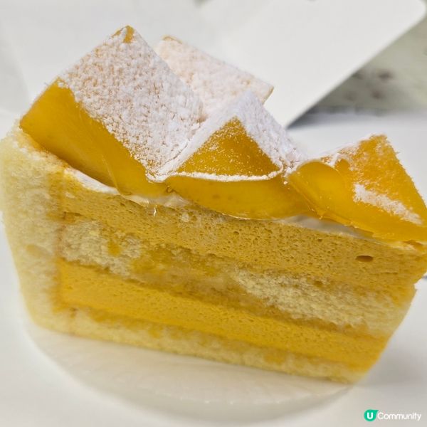 東海堂芒果粒粒蛋糕🥭