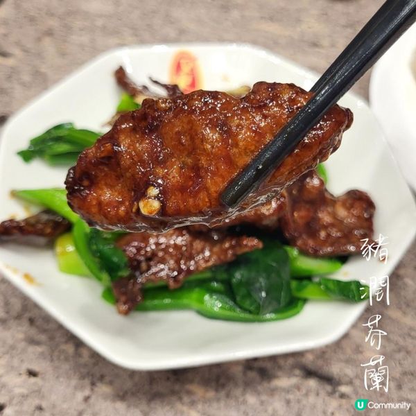 銅鑼灣 ︳🍗✨ 被認證的雞飯王者✨👩🍳