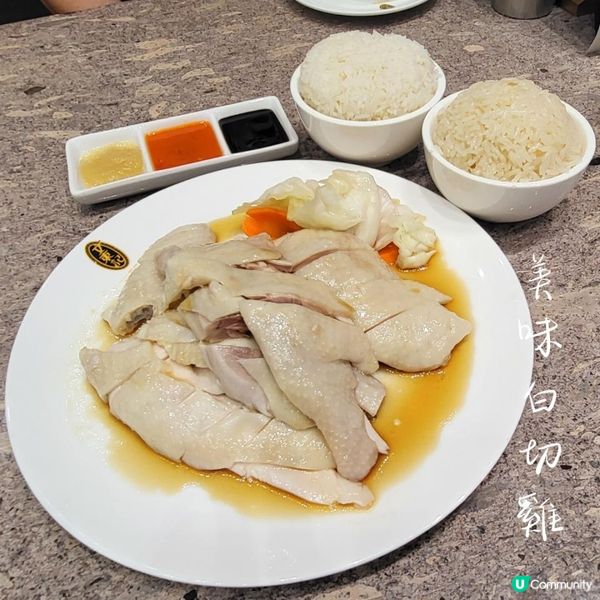 銅鑼灣 ︳🍗✨ 被認證的雞飯王者✨👩🍳