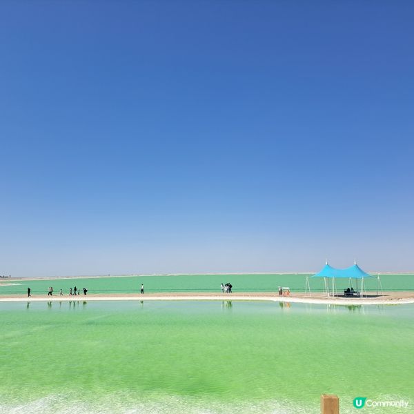 青海察爾汗鹽湖，鹽的世界！🤩 青甘大環線 3️⃣