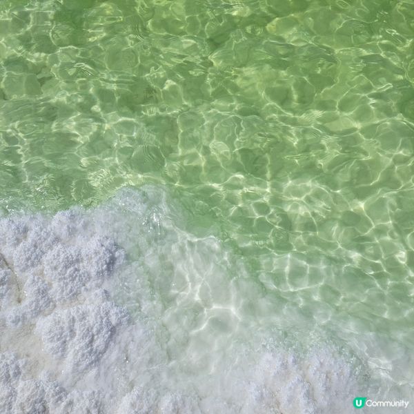 青海察爾汗鹽湖，鹽的世界！🤩 青甘大環線 3️⃣