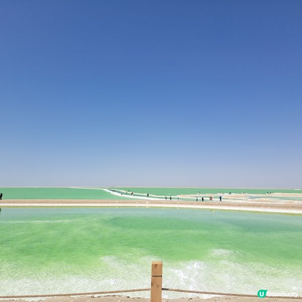 青海察爾汗鹽湖，鹽的世界！🤩 青甘大環線 3️⃣