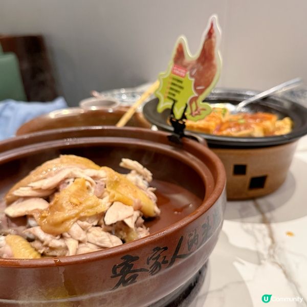 深圳鵬程補牙記 🦷 仲提供福田口岸接送 超方便