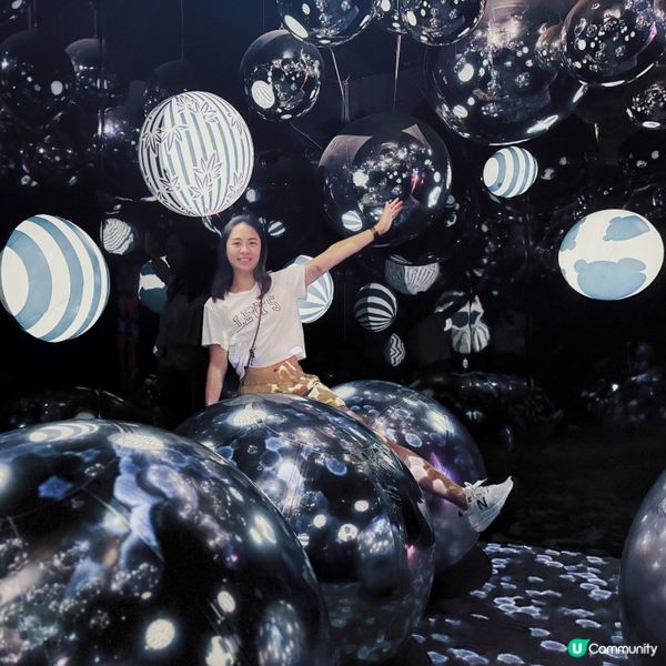 海洋公園都有teamlab?