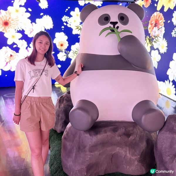 海洋公園都有teamlab?