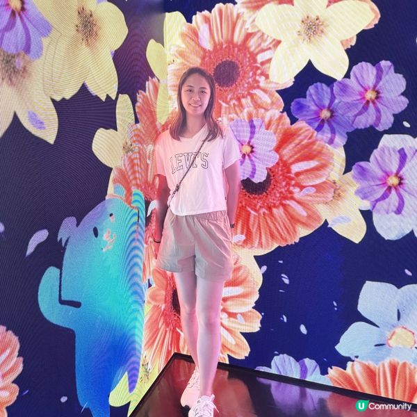 海洋公園都有teamlab?