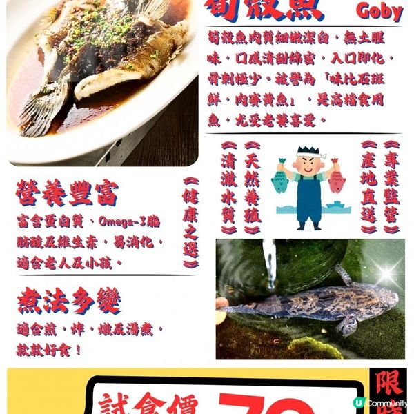 魚類小百科：「筍殼魚」