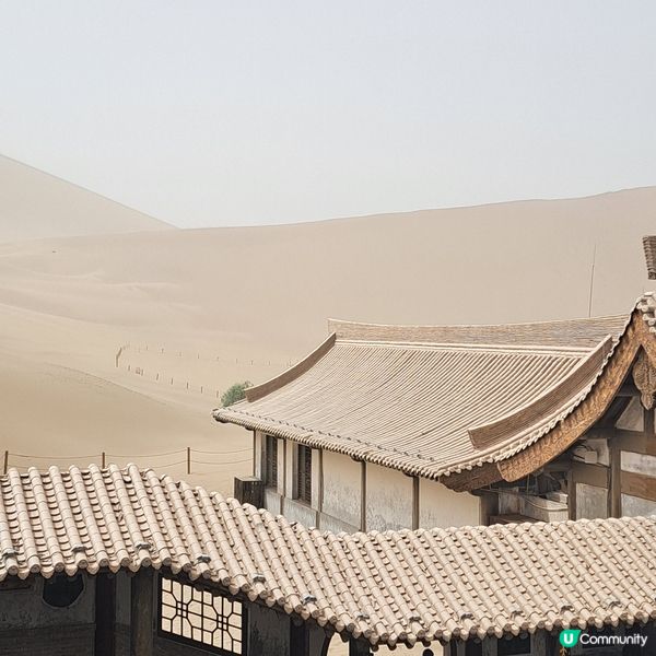 敦煌鳴沙山月牙泉，沙漠奇觀！🤩青甘大環線4️⃣