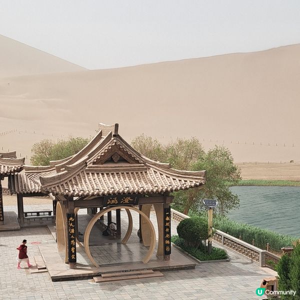 敦煌鳴沙山月牙泉，沙漠奇觀！🤩青甘大環線4️⃣