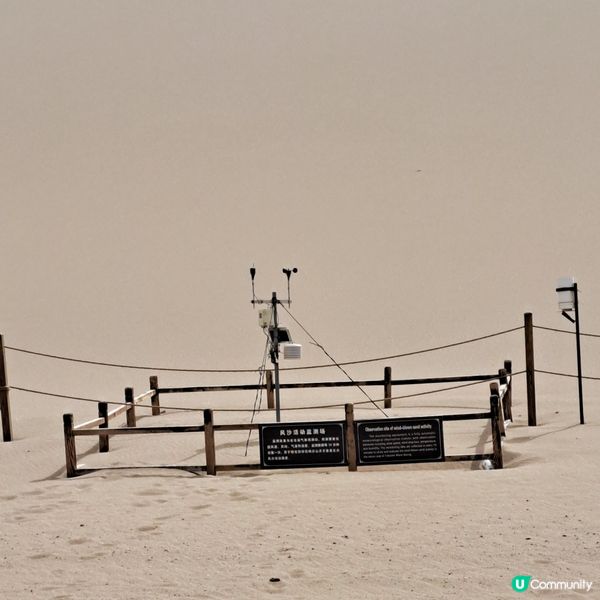 敦煌鳴沙山月牙泉，沙漠奇觀！🤩青甘大環線4️⃣