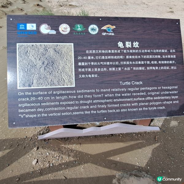 敦煌鳴沙山月牙泉，沙漠奇觀！🤩青甘大環線4️⃣