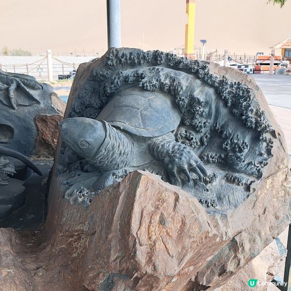 敦煌鳴沙山月牙泉，沙漠奇觀！🤩青甘大環線4️⃣