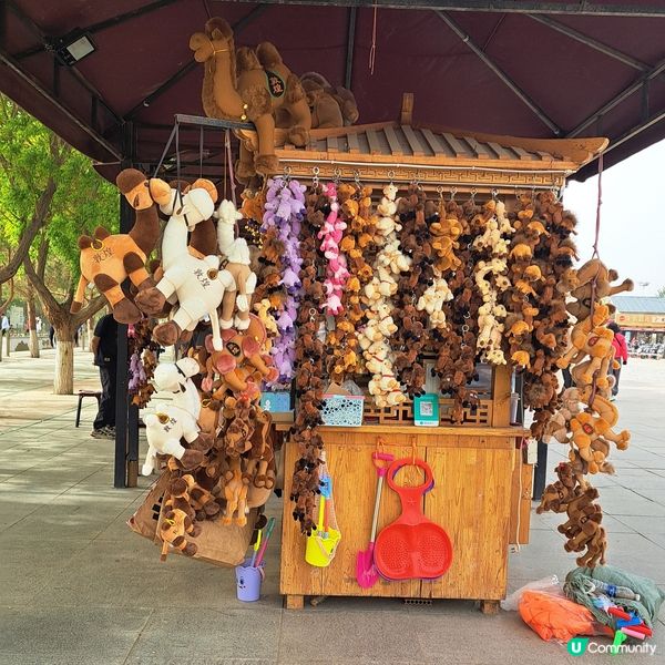 敦煌鳴沙山月牙泉，沙漠奇觀！🤩青甘大環線4️⃣