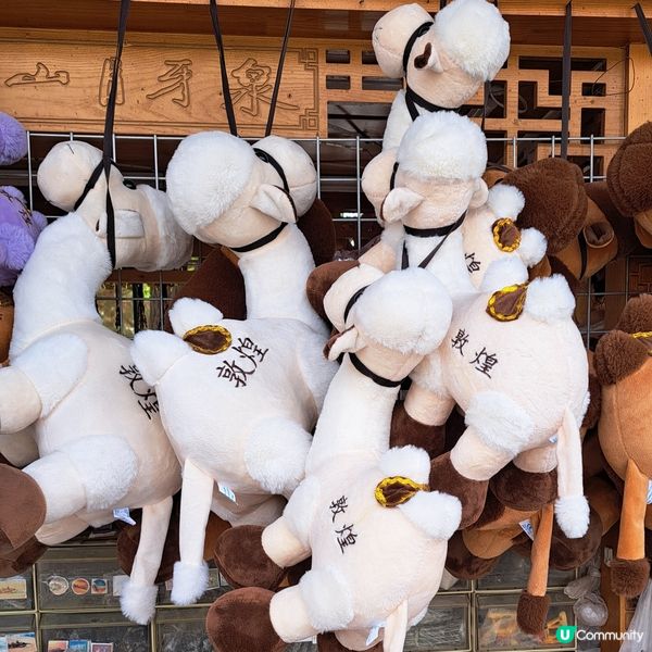 敦煌鳴沙山月牙泉，沙漠奇觀！🤩青甘大環線4️⃣