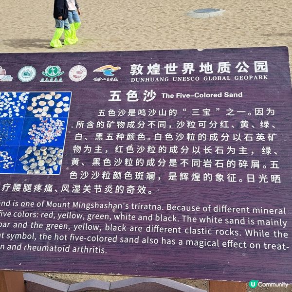 敦煌鳴沙山月牙泉，沙漠奇觀！🤩青甘大環線4️⃣