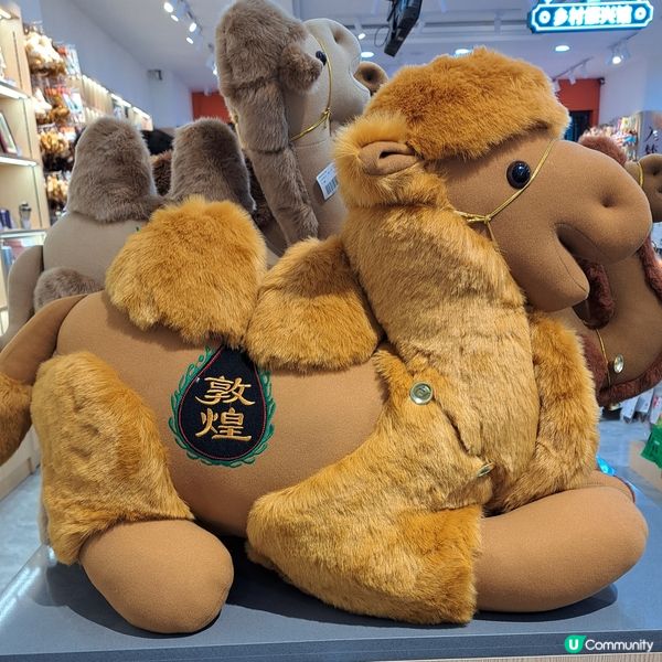 敦煌鳴沙山月牙泉，沙漠奇觀！🤩青甘大環線4️⃣