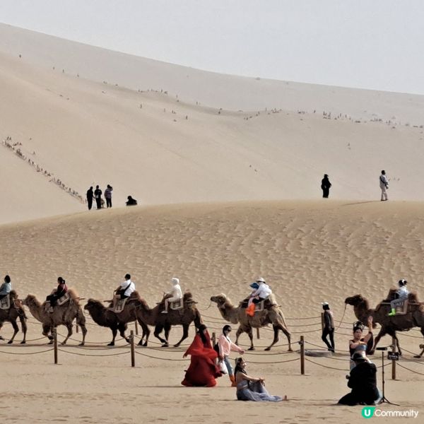 敦煌鳴沙山月牙泉，沙漠奇觀！🤩青甘大環線4️⃣