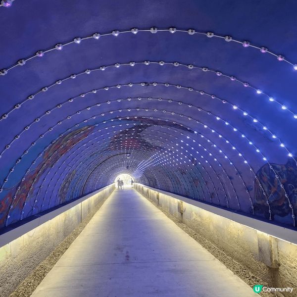 高雄旗津半島是一個非常之好玩嘅地方,一家大細朋友親人都適合去...