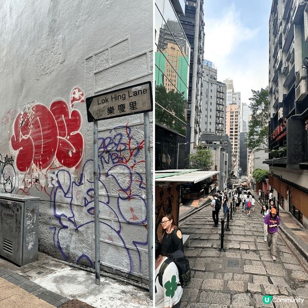 大家好呀！今日天氣真係不錯，雖然有啲霧